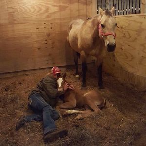 Meet your Posher, Amber